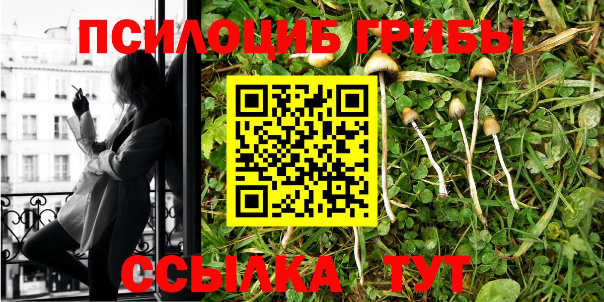 Галлюциногенные грибы мухоморы  Вход с VPN  Котовск 